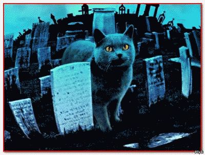 Мистическая история Кладбище домашних животных